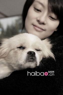 明星看狗狗,狗狗们的闪耀时刻