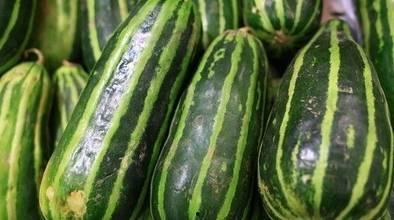 梢瓜和蛋可以一起吃吗,健康搭配，美味共享