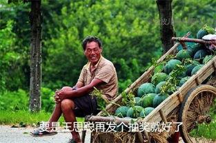 吃瓜日记云川,揭秘娱乐圈幕后风云