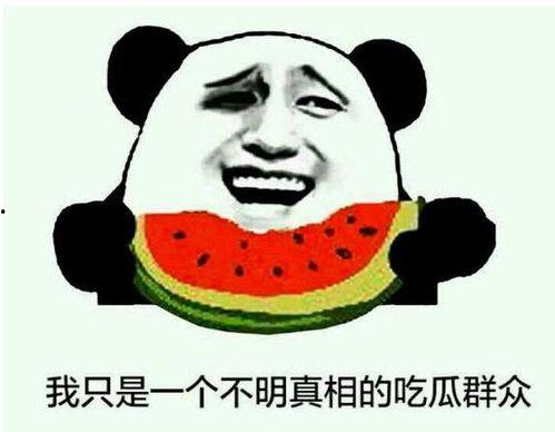 如何去除吃瓜群众,提升个人素养与影响力