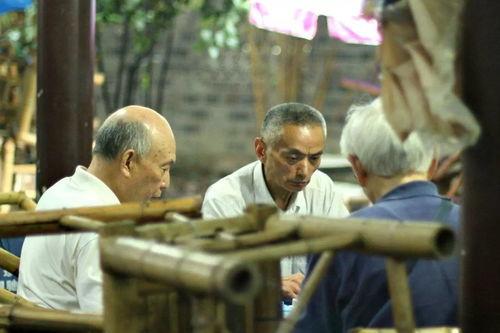 老汉爆料茶叶视频大全集,茶叶视频大全集揭秘茶叶奥秘