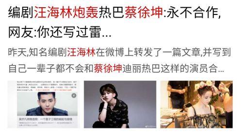 汪海林爆料娱乐圈小鲜肉,汪海林爆料背后的真相与争议