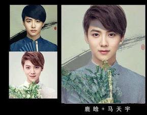 明星合成假照片,科技与伦理的边界探索