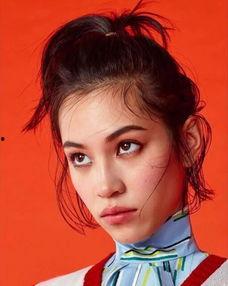 dpz明星,闪耀舞台的璀璨之星