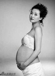 女明星之大尺度,大尺度背后的故事与真相