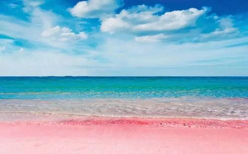 粉色沙滩爆料是真的吗视频