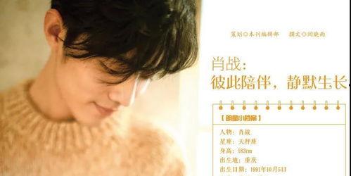 什么算是流量明星推荐,揭秘明星人气背后的流量密码