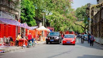 佛山桂城网红路面