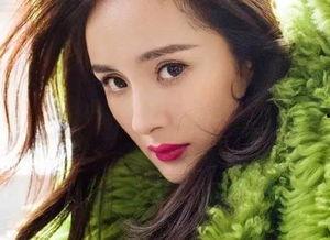 张什么毛的明星,揭秘娱乐圈的璀璨明星