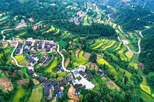 贵州深山新闻头条号,探寻神秘古村落，揭秘原始生态之美