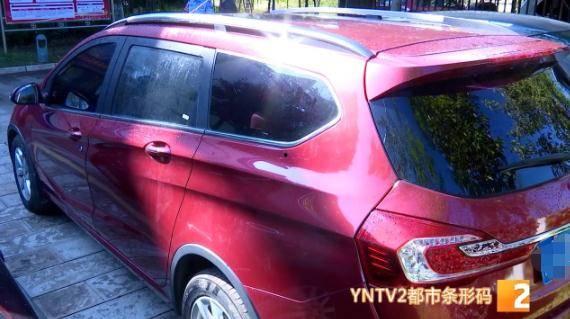 贴纸车贴吃瓜群众,揭秘贴纸车贴背后的文化现象