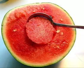 盐城147小仙女吃瓜,揭秘网红吃瓜背后的故事