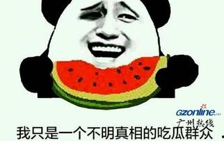 吃瓜网友,揭秘娱乐圈幕后真相